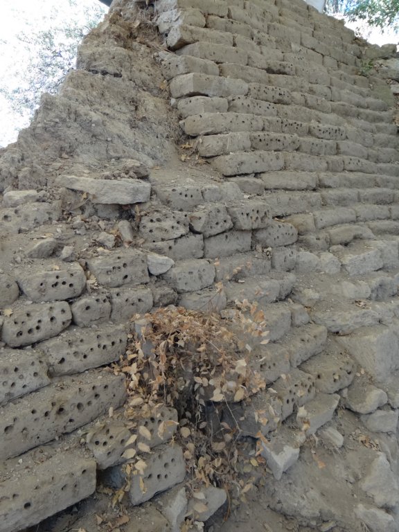 turkey201310.jpg