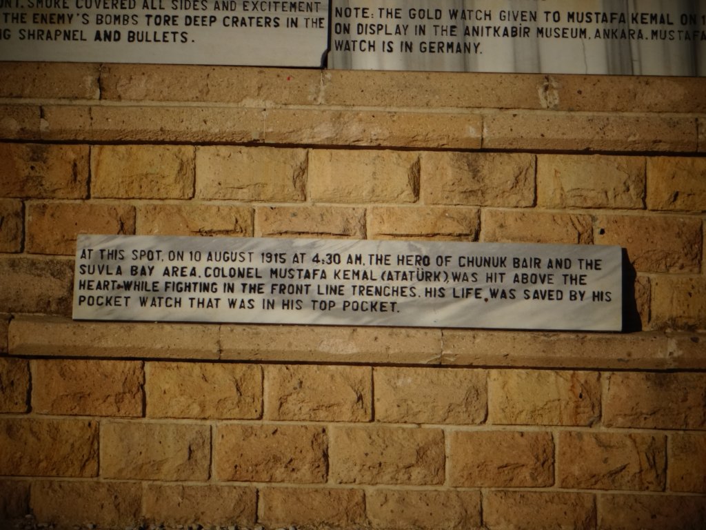 turkey2013101.jpg