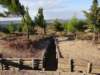 turkey2013102_small.jpg