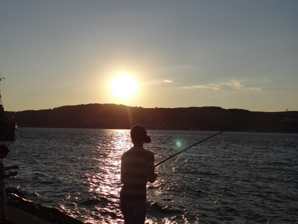 turkey2013107.jpg