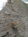 turkey201310_small.jpg