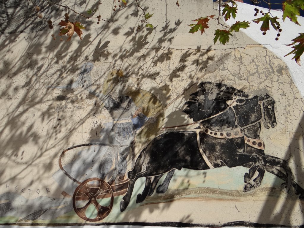 turkey201316.jpg
