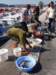 turkey201330_small.jpg