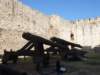 turkey201339_small.jpg