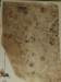 turkey201341_small.jpg