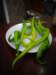 turkey201350_small.jpg