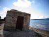 turkey201362_small.jpg