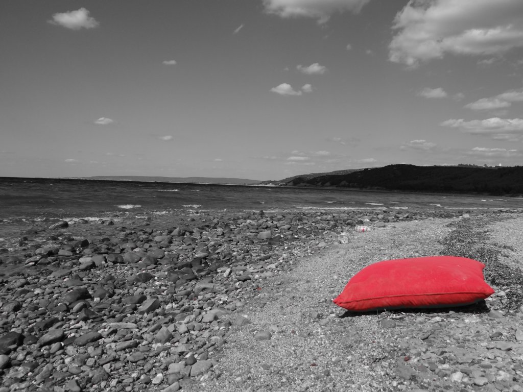turkey201363.jpg