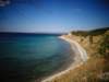 turkey201366_small.jpg