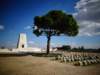 turkey201385_small.jpg