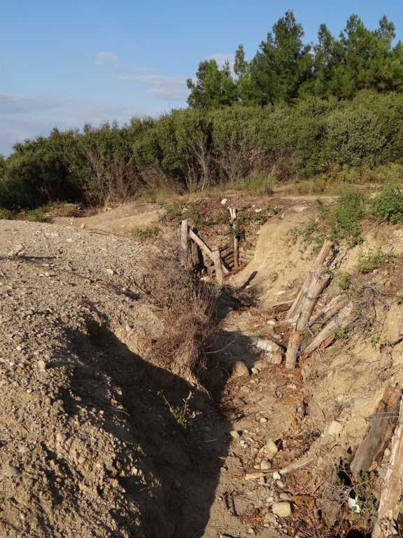 turkey201396.jpg