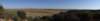 turkey20139_small.jpg