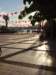 turkey201311_small.jpg