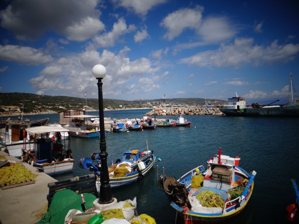 turkey201342.jpg
