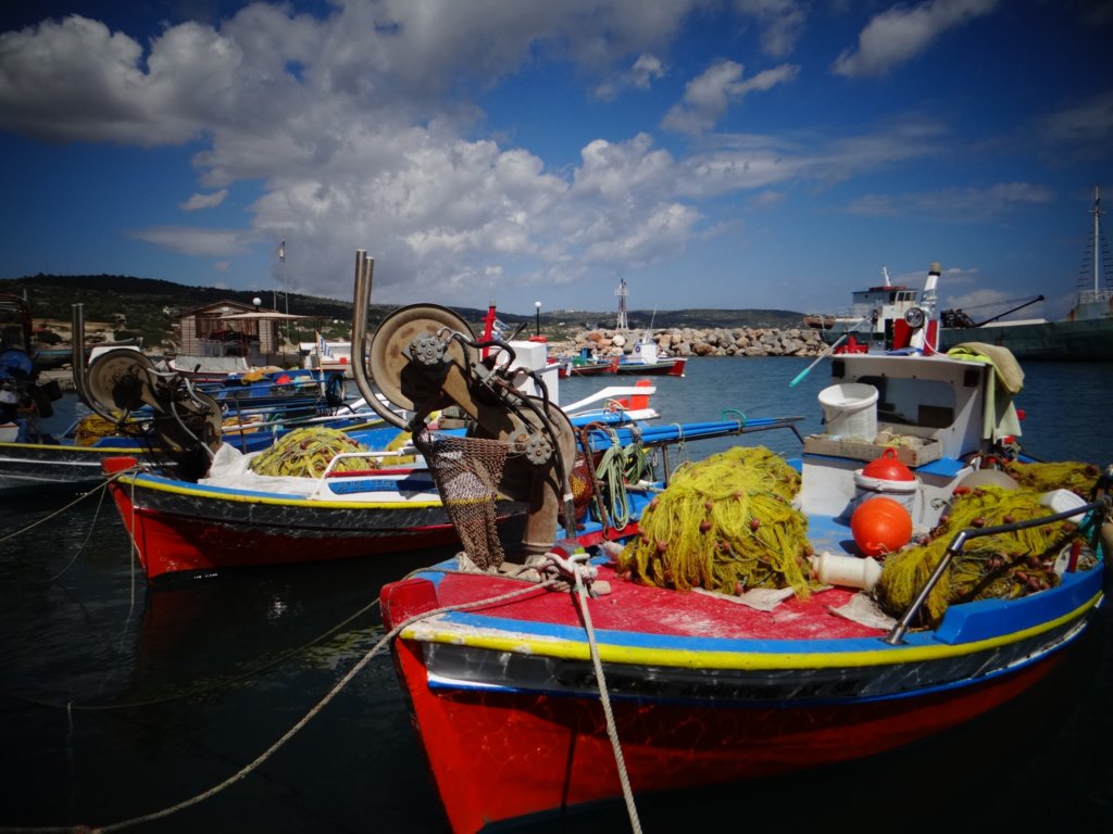 turkey201343.jpg