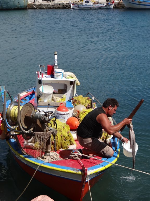 turkey201344.jpg