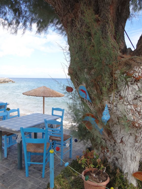 turkey201348.jpg