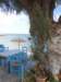 turkey201348_small.jpg