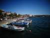 turkey20134_small.jpg