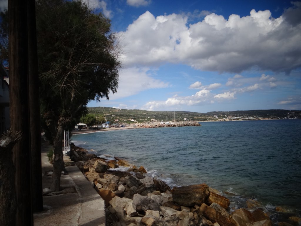 turkey201351.jpg