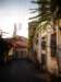 turkey201360_small.jpg