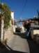 turkey20136_small.jpg