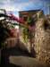 turkey20138_small.jpg
