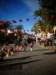 turkey20139_small.jpg