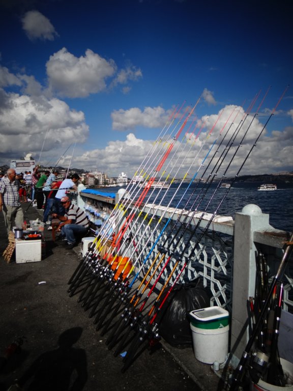 turkey2013102.jpg