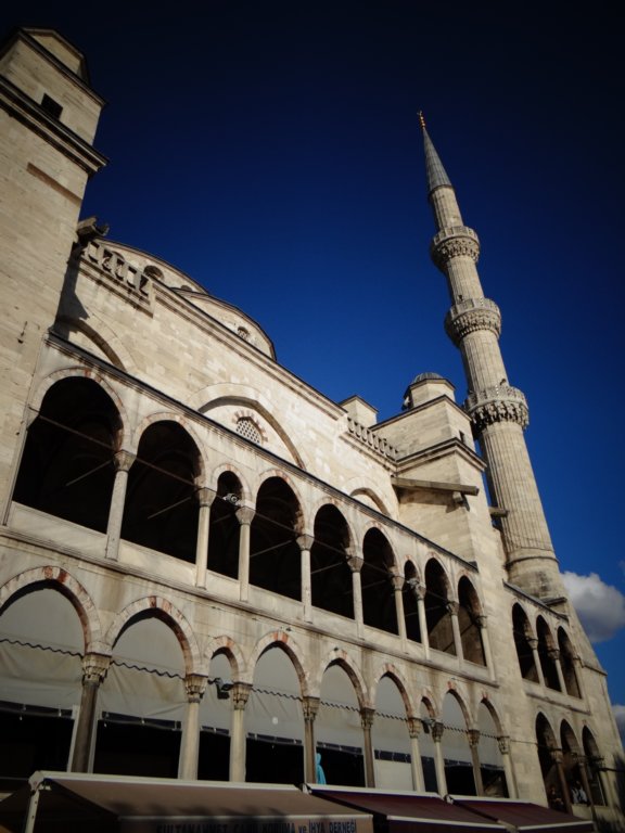 turkey2013105.jpg