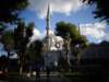 turkey2013110_small.jpg