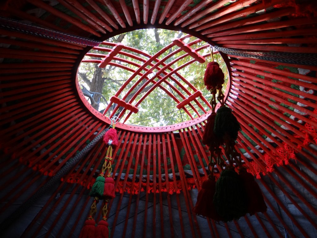 turkey2013111.jpg