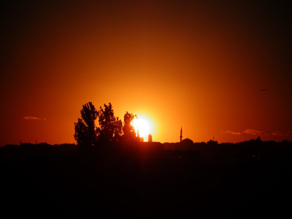 turkey2013120.jpg