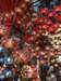 turkey2013133_small.jpg