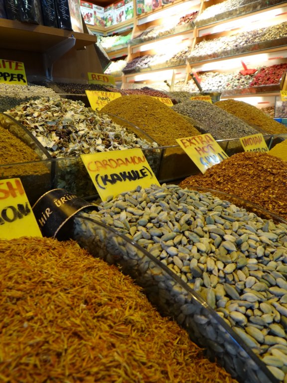 turkey2013145.jpg