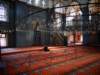 turkey2013158_small.jpg