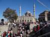 turkey2013167_small.jpg