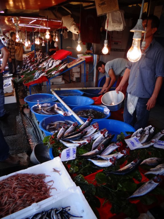 turkey2013174.jpg