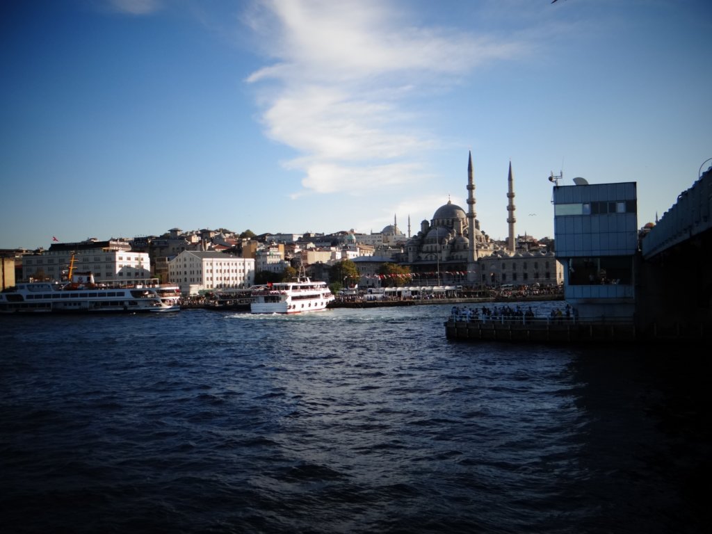 turkey2013176.jpg