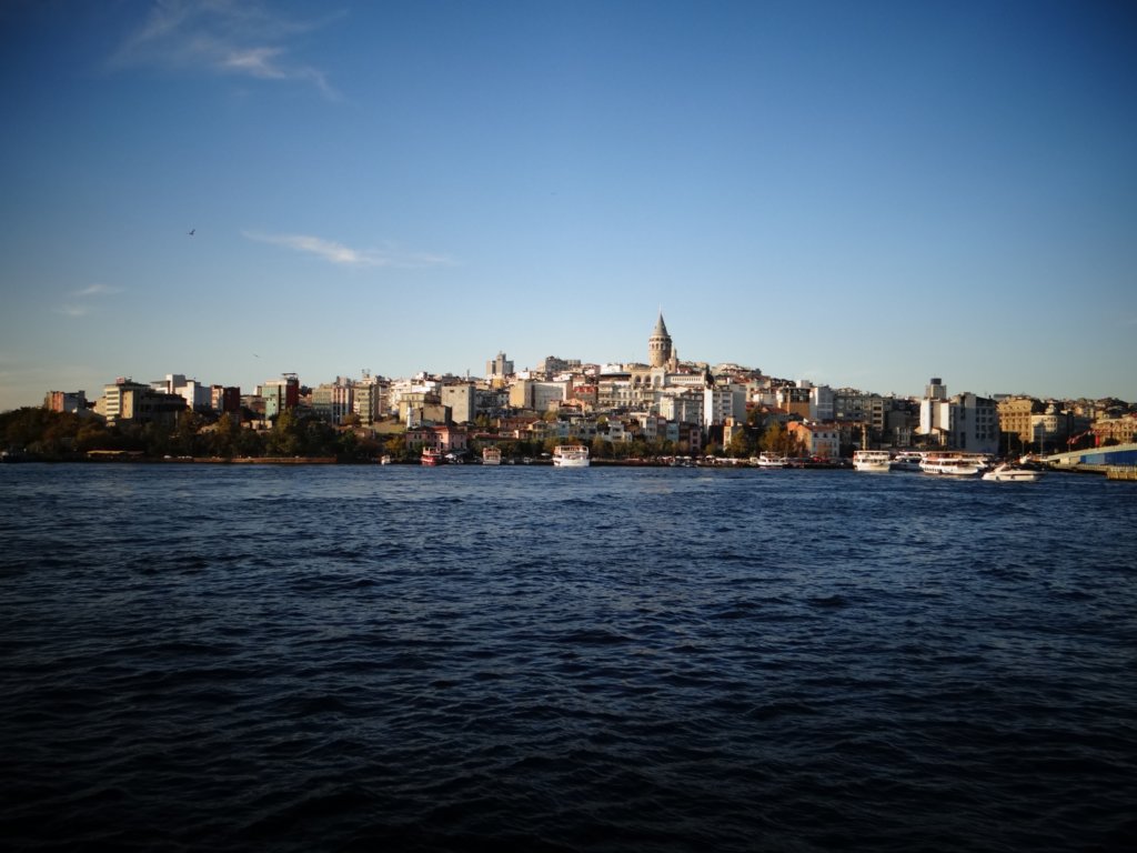 turkey2013177.jpg
