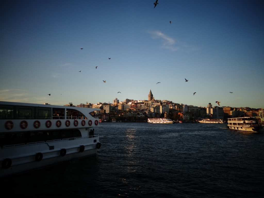 turkey2013178.jpg
