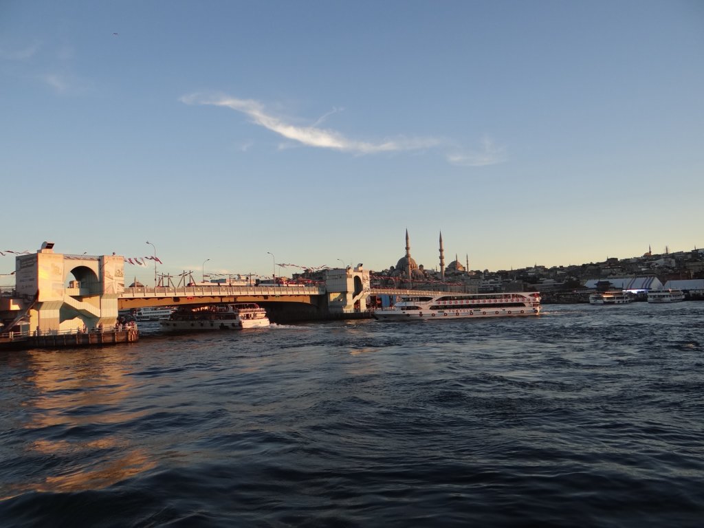 turkey2013181.jpg
