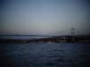 turkey2013183_small.jpg