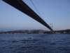 turkey2013185_small.jpg