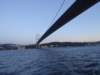 turkey2013187_small.jpg