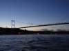 turkey2013197_small.jpg