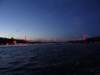 turkey2013199_small.jpg