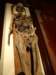 turkey2013240_small.jpg