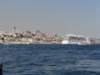 turkey2013243_small.jpg