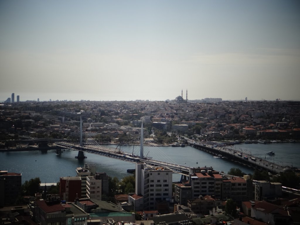 turkey2013246.jpg